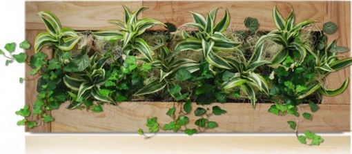 5 étapes pour fabriquer un cadre mural vegetal en lichen